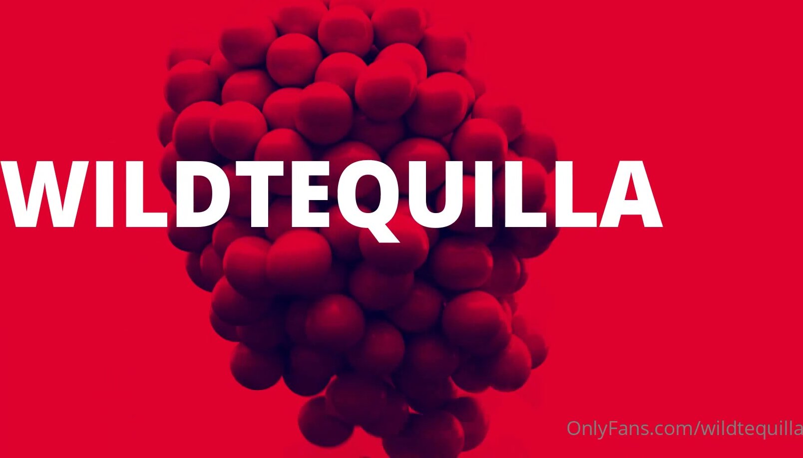 Wildtequilla 4